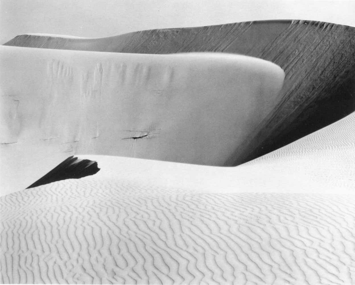 Edward Weston, Dunes. Oceano, 1936